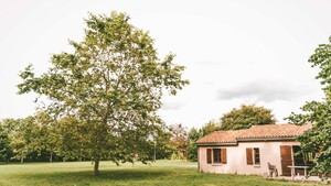 Cottage 70 m²