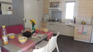 Mobile Home Confort + LIFE Wheelchair access 32m² + TV  (2 bedrooms) - Covered terrace