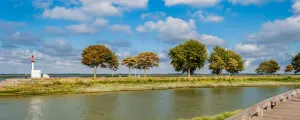 Arbre le long d'une entrée de la Baie de Somme