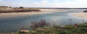 Bancs de sable de la Baie de Somme