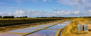 Marais salants rosés en Vendée sous un ciel bleu d'été