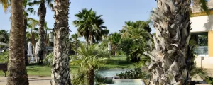 Piscine du camping Marjal sur la Costa Blanca en Espagne