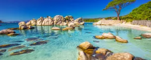 Plage de rêve à l'eau translucide de Palombaggia en Corse