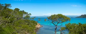 Vue sur la mer Méditerranée turquoise et transparente depuis la pinède