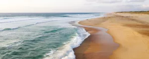 Plage landaise sur le littoral atlantique