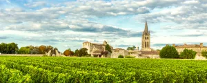Vignobles de Saint Emilion avec une vue sur le village en arrière plan