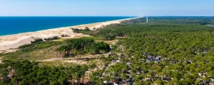 La forêt de pins, la dune et l'océan Atlantique dans les Landes