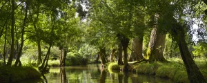 Marais Poitevin dans les Deux-Sèvres