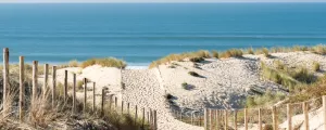 Descente vers une plage du Cap Ferret depuis la dune vers l'océan 