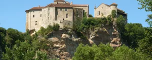 Château fort sur une colline au-dessus d'une pinède