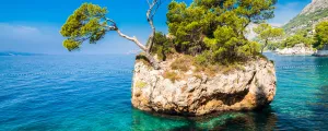 Ile rocheuse avec des pins au milieu d'une mer Adriatique turquoise en Croatie