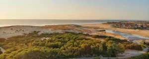Forêt et plage de Vieux-Boucau dans les Landes