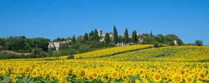 Aude Département France pour la réservation de vos séjours vacances, loisirs et événements avec Resasol dans les Landes
