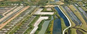 Bannière Marais de Saint-Just-Luzac vue du ciel pour l'agence de tourisme Resasol qui vous permettra de faire rimer vos vacances avec découverte de la France