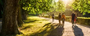 Chateauneuf-de-Gadagne-vaucluse-paca-france-personnes-marchant-dans-parc-soleil-arbre-chemin-sentier-golden-hour-resasol-vacances-loisirs-evenements