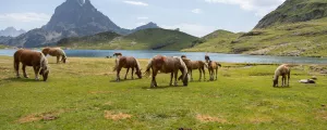 Laruns-pyrenees-atlantique-nouvelle-aquitaine-france-campings-les-lacs-d-aious-et-le-pic-du-midi-d-ossau-resasol-vacances-loisirs-evenements