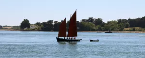 Sene-morbihan-bretagne-france-golfe-morbihan-bateaux-ciel-bleu-resasol-vacances-loisirs-evenements