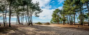 ares-gironde-nouvelle-aquitaine-france-campings-vue-plage-ocean-sable-dune-pins-littoral-balade-resasol-vacances-loisirs-evenements