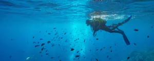 l-estartit-gerone-catalogne-espagne-campings-plongeur-surface-eau-banc-poissons-mer-mediterranee-iles-medes-costa-brava-resasol-vacances-loisirs-evenements