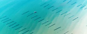 la-faute-sur-mer-vendee-pays-de-la-loire-france-banniere-mytiliculture-ocean-atlantique-vert-bleu-turquoise-bateau-resasol-vacances-loisirs-evenements