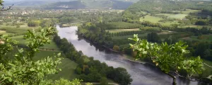 saint-sozy-lot-occitanie-france-campings-resasol-loisirs-evenements-vacances-riviere-vegetal-vert-belle-lumiere