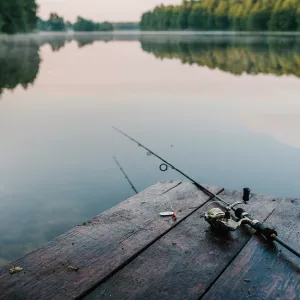 Canne à pêche posée sur un ponton face à un lac au crépuscule
