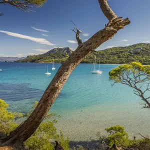 Crique dans le Var en Méditerranée avec une eau transparente et turquoise