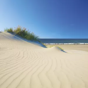 Dune de sable sur une plage landaise avec l'océan Atlantique en fond
