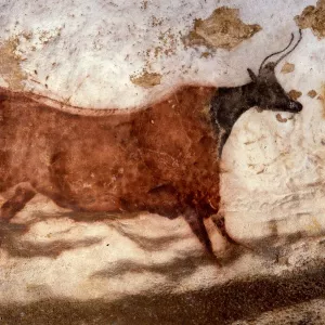 Fresque de vache sur les murs de la Grotte de Lascaux en Dordogne