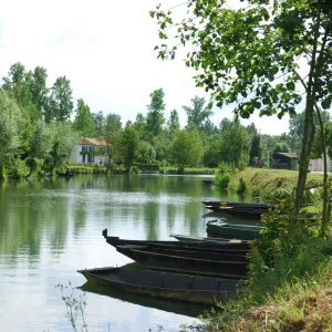 Barque dans le vert du Marais Poitevin