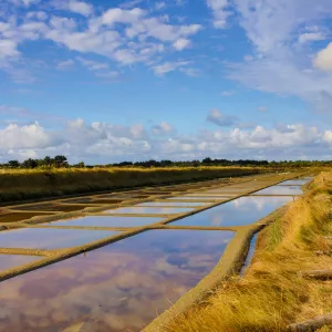 Marais salants rosés en Vendée sous un ciel bleu d'été