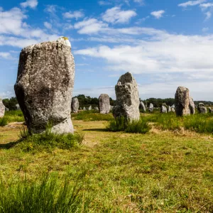 Menhirs de Carnac au milieu d'une prairie verte en Bretagne