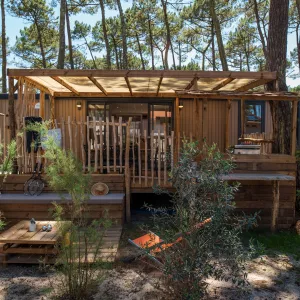 Mobil home entre les pins dans le camping le Vieux Port à Messanges dans les Landes