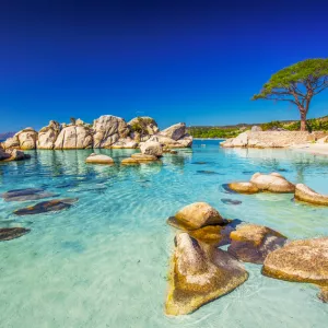 Plage de rêve à l'eau translucide de Palombaggia en Corse