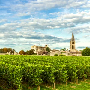 Vignobles de Saint Emilion avec une vue sur le village en arrière plan