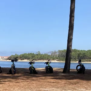 Activité en pleine nature lors d'un séminaire