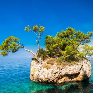 Ile rocheuse avec des pins au milieu d'une mer Adriatique turquoise en Croatie
