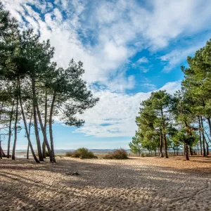ares-gironde-nouvelle-aquitaine-france-campings-vue-plage-ocean-sable-dune-pins-littoral-balade-resasol-vacances-loisirs-evenements
