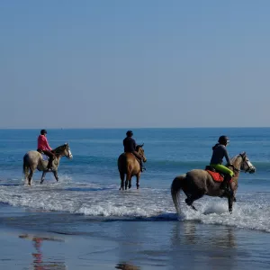 les Saintes maries de la Mer pyrenees atlantique occitanie france camping chevaux cavaliers mer mediterrannee resasol loisirs vacances evenements