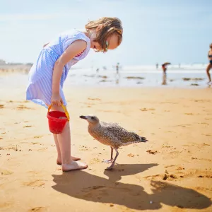 les-sables-d-olonne-vendee-pays-de-la-loire-france-campings-adorable-fillette-mouette-plage-sable-cote-atlantique-resasol-vacances-loisirs-evenements