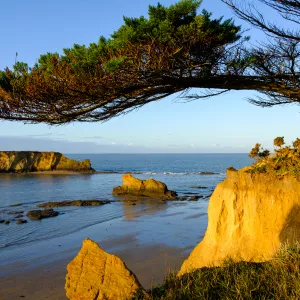 penestin-morbihan-bretagne-france-campings-falais-golden-hour-arbre-roche-ocean-atlantique-calme-resasol-vacances-loisirs-evenements