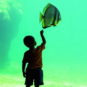 book-activites-2025-v8-un-enfant-vu-de-dos-dans-un-aquarium-qui-touche-la-vitre-pour-se-rapprocher-du-poisson