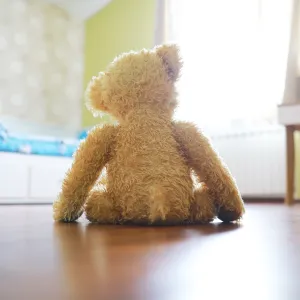 Doudou oublié dans la location de vacances
