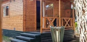 Chalet Bonsai