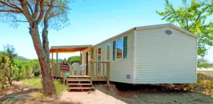 ARIZONA ECO