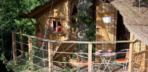 Boomhutten ( droog toilet, zonder douche)