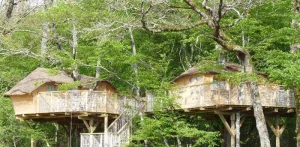 Boomhutten (droog toilet, zonder douche)