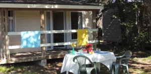 Chalet ECO 27m² (2 Zimmer - Überdachte Terrasse ) + TV