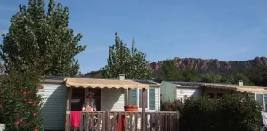 IDAHO STANDARD