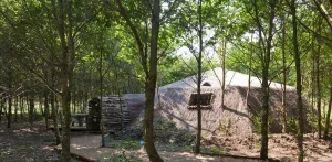 Sprite's House